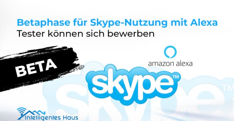 Skype-Nutzung